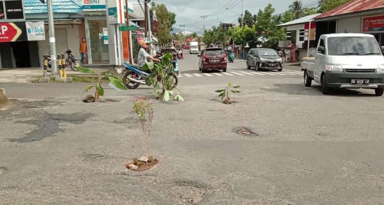 Tampak sejumlah tanaman yang ditanam warga di ruas jalan Kolonel Sugiono di Kelurahan Kotobangon Kecamatan Kotamobagu Timur, Jumat (5/5/2023). Foto: Miranty Manangin/bolmong.news