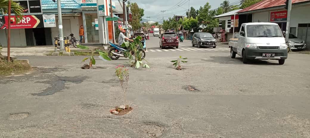 Tampak sejumlah tanaman yang ditanam warga di ruas jalan Kolonel Sugiono di Kelurahan Kotobangon Kecamatan Kotamobagu Timur, Jumat (5/5/2023). Foto: Miranty Manangin/bolmong.news