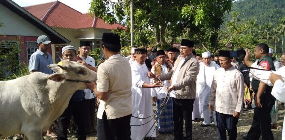 Tampak Penjabat Bupati Limi Mokodompit, saat menyerahkan hewan Sapi Qurban di Desa Muntoi, pada momentum Hari Raya Idul Adha 1444 Hijriah, Kamis 29 Juni 2023. (foto.Wahyudy Paputungan/bolmong.news)