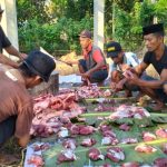 Tampak DMI Kaidipang tengah mempersiapkan penyaluran Daging Qurban ke Masyarakat Desa Soligir, Jumat 30 Juni 2023. (foto.Muchtar L Harundja/bolmong.news)